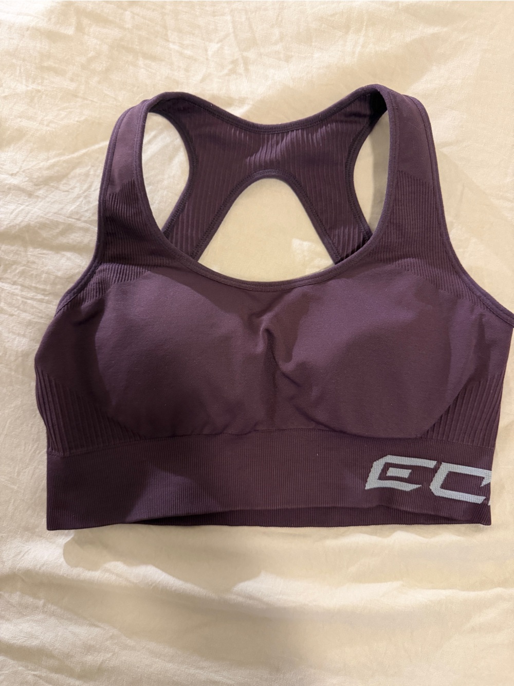 Echt Athletic Sports Bra in Purple Size Medium Like New